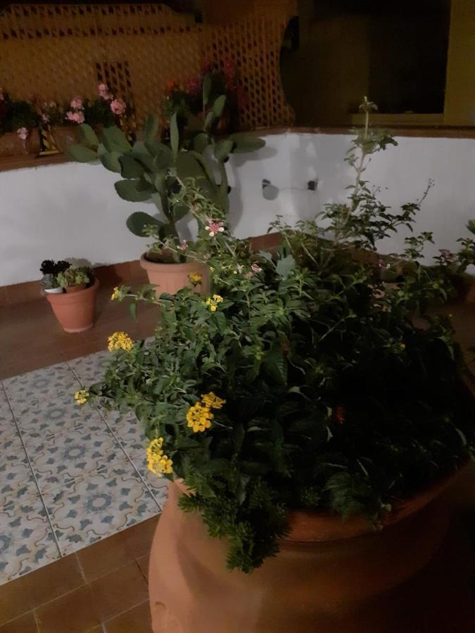 Dolce Far Niente Villa Noto Ngoại thất bức ảnh
